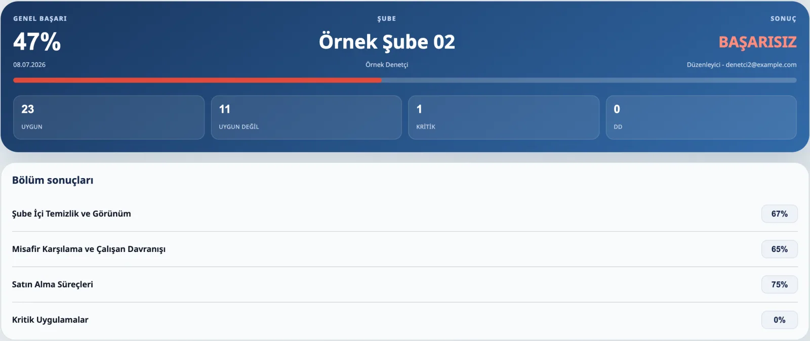 Audit result with overall score and section scores