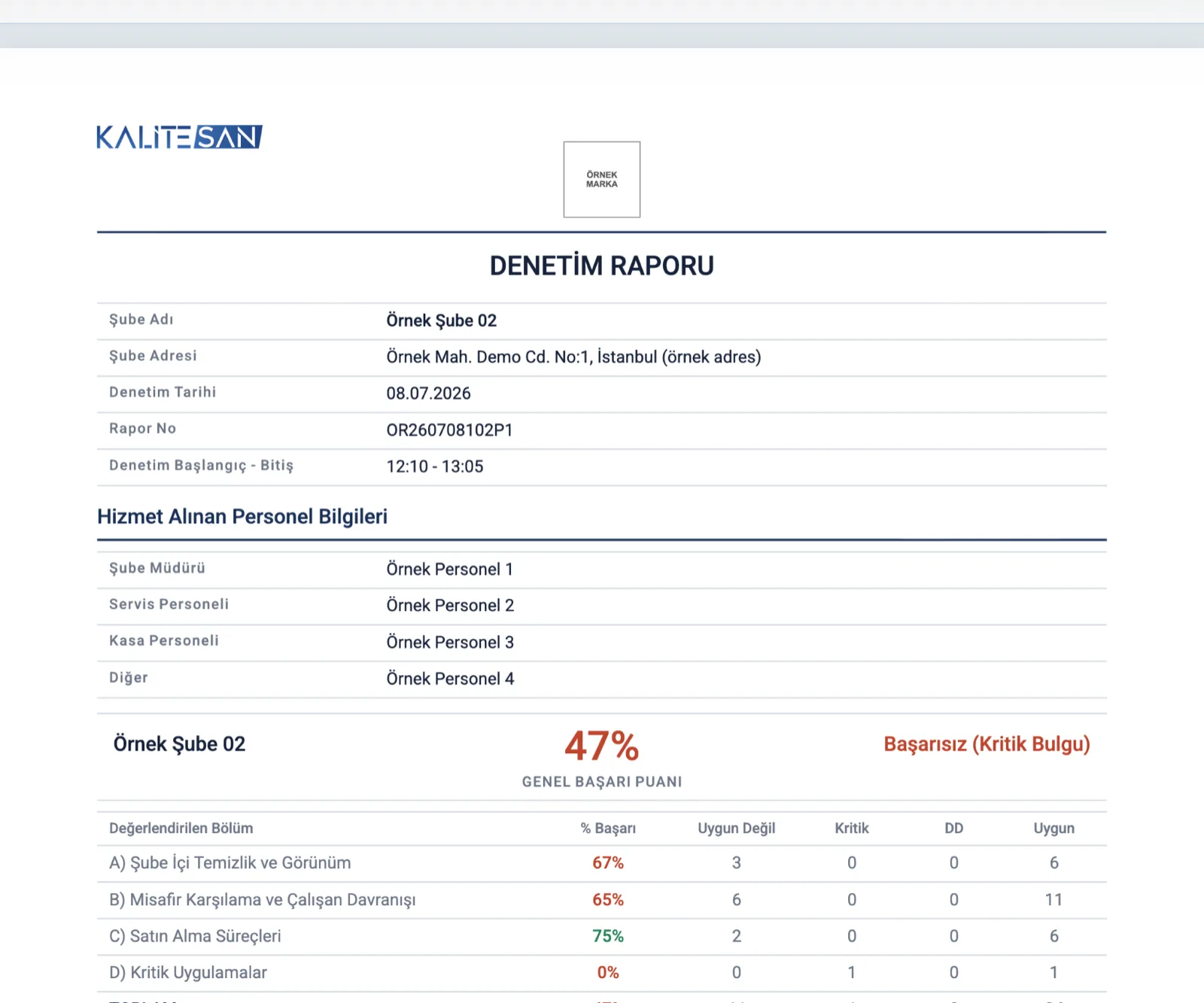 Audit report PDF preview
